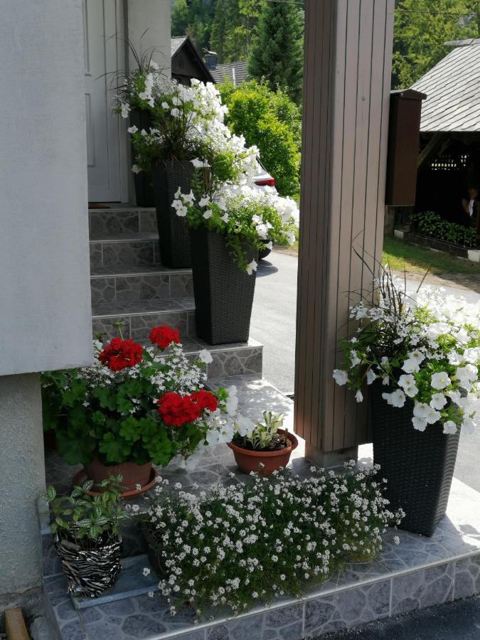 Apartma Simona Бохин Екстериор снимка